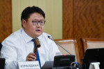 Ш.Раднаасэд : Нямбаатараа нэг арьсандаа нэг амьдраад үхэх хэрэгтэй