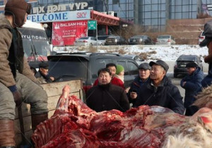 СУРВАЛЖИЛГА: Монголчууд өвлийн идэшээ авахдаа ч нутгархдаг юм байна