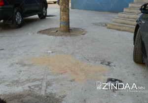ХЭРГИЙН ГАЗАР: 13 давхраас унаж нас барсан хэргийн газраас гурван хүний гутлын мөр олджээ