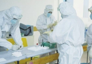 PCR шинжилгээнд найдах боломжгүй гэв