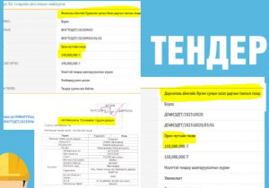 Төсвийг мөшгөе: Засаг даргын машиныг 150 сая төгрөгөөр & хогны машин 190 сая төгрөгөөр худалдан авна