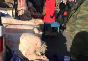 Ахмадууд: Тэтгэврийн мөнгөөрөө ганц ууц ч авч хүрэхгүй байна