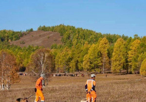 Алга болсон хүүгийн үеэл эгч С.Бямбасүрэн: Одоо бид нэгнийхээ буруу зөвийг шүүж байх цаг биш 