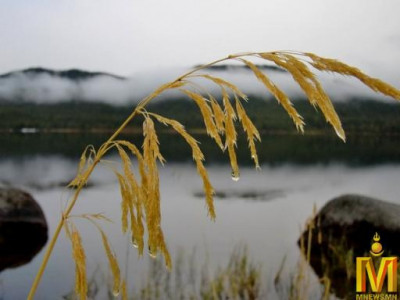 13-15 градус дулаан