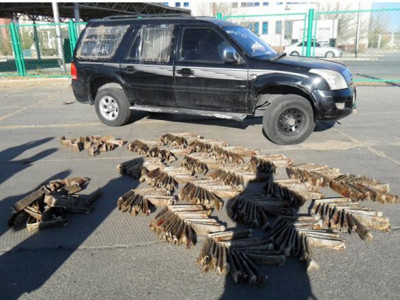 Тарваганы арьс машины эд ангидаа нууж хил давахыг завджээ