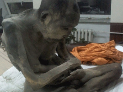 Улаанбаатараас 200 жилийн настай муми олдлоо