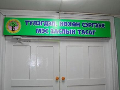 Австрали эмч нар үнэ төлбөргүй үзлэг, хагалгаа хийнэ
