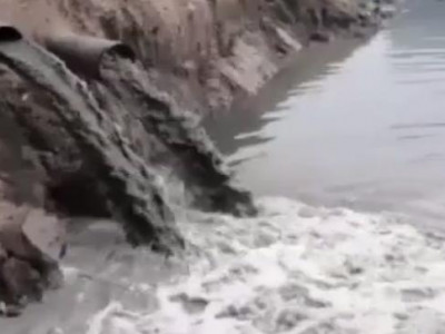 Иргэдийг хуурч Төв цэвэрлэхийн бохирыг Туул голд цутгажээ