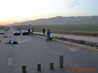 Зам тээврийн ослоор 501 хүн амиа алджээ