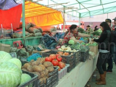 Өнөөдөр Сэлэнгийн ногоочдын баярт өдөр