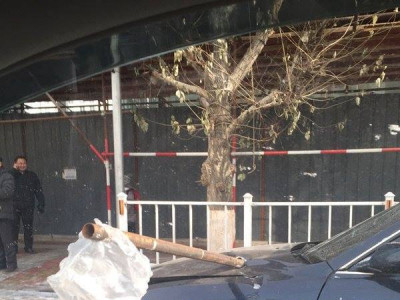 Барилга дээрээс унасан төмөр машины хамрыг цоо хатгажээ