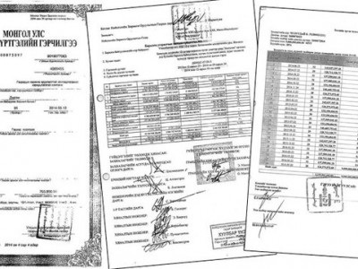 Гадаадын хөрөнгө оруулалтыг үргээх сонгодог жишээ буюу “Грандлайн” компани ба Турк