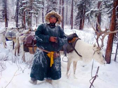 Үхлийн шалтгааныг тогтоох ажлыг эрчимжүүлэв