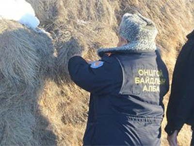 Малчдад 6565 тонн өвсийг үнэгүй олгож байна