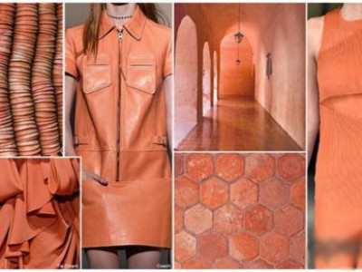 2016 онд моодонд орох өнгөнүүдийг нэрлэлээ