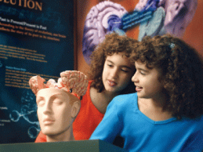 Уураг тархины нууцлагдмал ертөнц