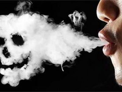 Тамхи элгийг муутгадаг