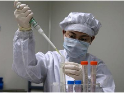 Ихрүүдийн эхээс гахайны ханиад илэрчээ