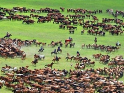 Түмэн адууны баяр айсуй