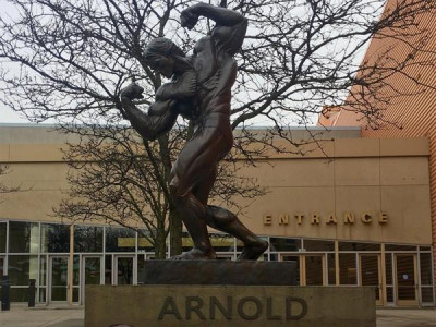 Шварценеггер дүрсгүйтжээ