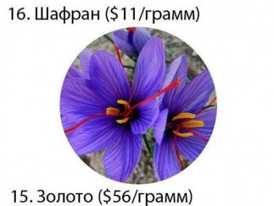 Дэлхийн хамгийн үнэтэй бодисын үнийг тооцоолон гаргажээ