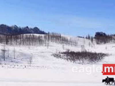 Хөл нүцгэн гараад сураггүй болсон эмэгтэйг эсэн мэнд олжээ