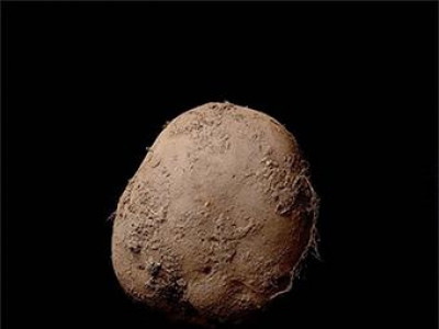 Төмсний зураг сая доллар хүрчээ