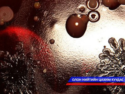 Монгол гэрэл зурагчдын авсан бичил биетэн, амьд организм /фото/
