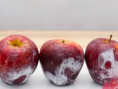 Алимны хальсан дээрх хорт бодисыг гүйцэт цэвэрлэхэд нэг минут хангалттай