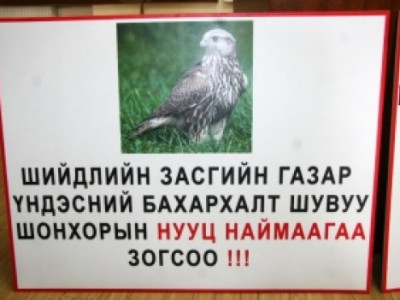 Нууц тогтоол гаргаж 200 гаруй шонхор хил давуулсаныг буруушаав