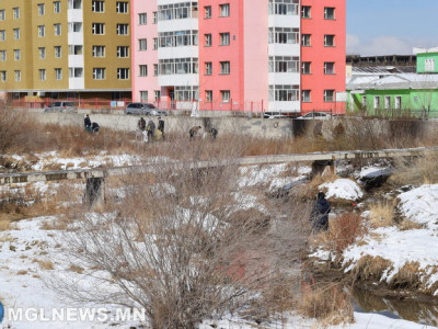 Цахим хуудаснаа нэгдсэн залуус тоглож өссөн Дунд голоо цэвэрлэлээ