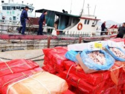 Хятадууд Африкт хүний нөөшилсөн мах экспортлосон байх магадлалтай