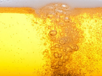 Хятадаас 5000 жилийн өмнөх шар айрагны жор олджээ