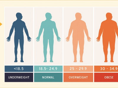 Та идэхийн төлөө амьдардаг уу