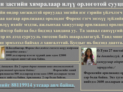 Forex буюу интернэтээр мөнгө олох бизнесийн үнэгүй сургалт эхэлнэ
