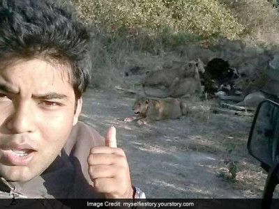 Арслантай өөрөг зураг авахуулахыг хориглов