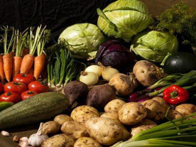 “Хүлэмжийн ургацын шинэ ногооны амт” үзэсгэлэн худалдаа өнөөдөр нээлтээ хийнэ