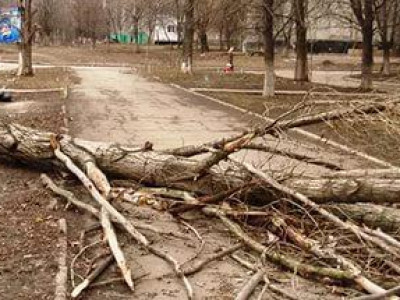 Хятадад хар салхины улмаас 99 хүн амь алдлаа