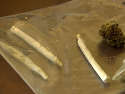 Үл мэдэгдэх ургамал цүнхэлж явсан залуус баригджээ