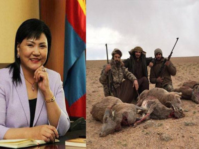 Шонхорт цадаагүй Арабууд угалз агнаж эхэллээ