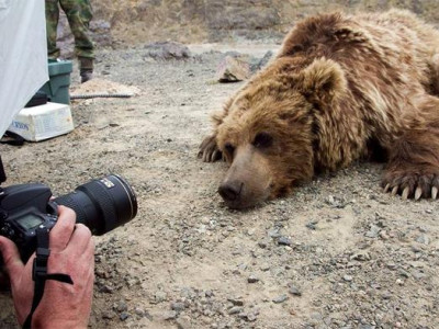  Мазаалайг хамгаалахад Хятад улс тусална