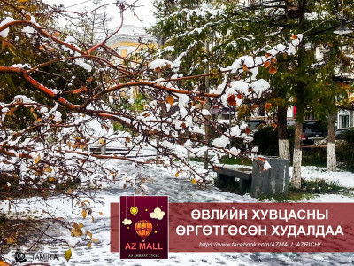 AZMALL-н ӨВЛИЙН ХУВЦАСНЫ 20-50%-н хямдрал эхэллээ