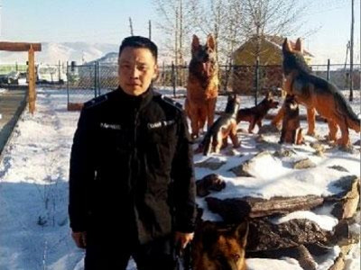Албаны нохой хөөрөгний хулгайчийг илрүүлэв