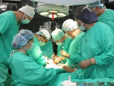 Танилц: Донорын тухай хуульд дараах өөрчлөлт орно  