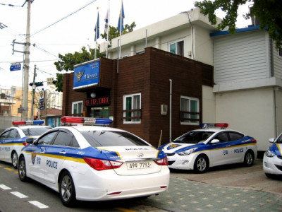 Гурван сарын визээр очсон Монгол эмэгтэйчүүд хулгай хийгээд баригджээ