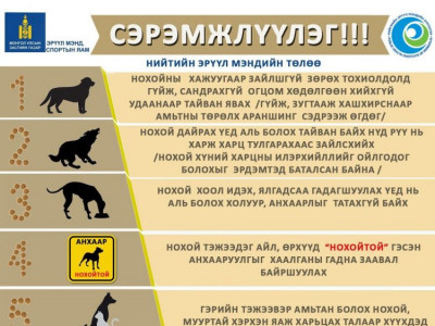 Нохойд хазуулсан хүнд өгөх зөвлөгөө 