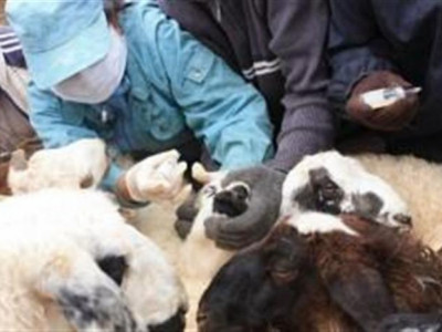 Дундговийн Өлзийт суманд хорио цээрийн дэглэмтэй байна 