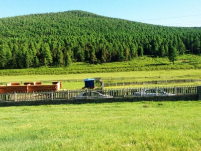 0.7 ГА ГАЗРАА ӨМЧИЛЖ ЧАДААГҮЙ ҮЛДСЭН НЬ ХУДАЛДАЖ АВНА