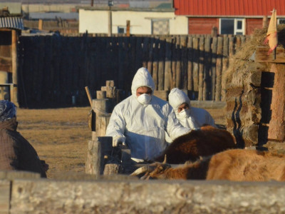Мал аж ахуйг үндэсний аюулгүй байдлын хэмжээнд анхаарах цаг болжээ
