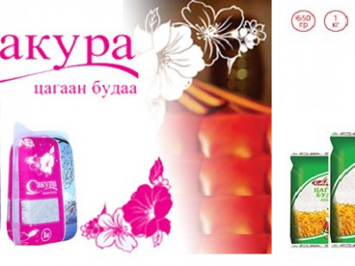 Сакура, Слава будаа нь Хятадаас оруулж ирж савласан гэж тайлбарлав